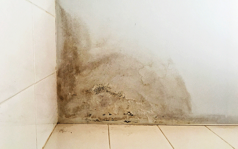 Infiltration d’eau dans un mur causes et traitements MURSEC — free download