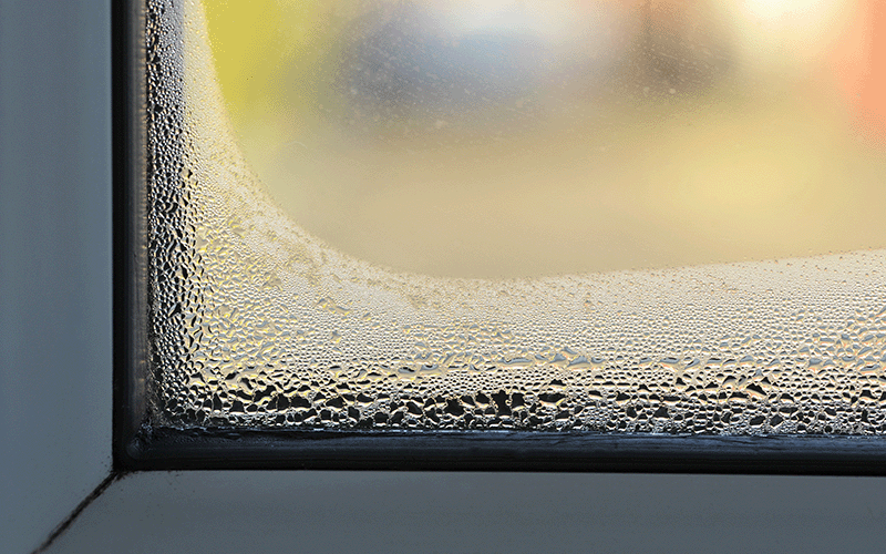 Condensation fenêtre traitement de l