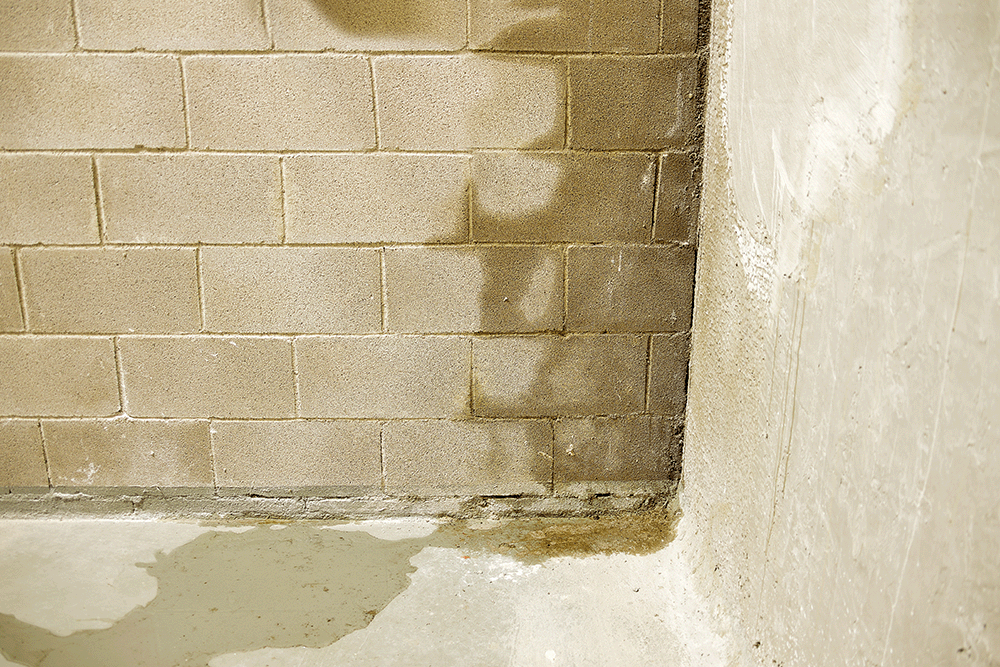 Humidité Du Mur De La Maison à Cause De Problèmes De Pluie