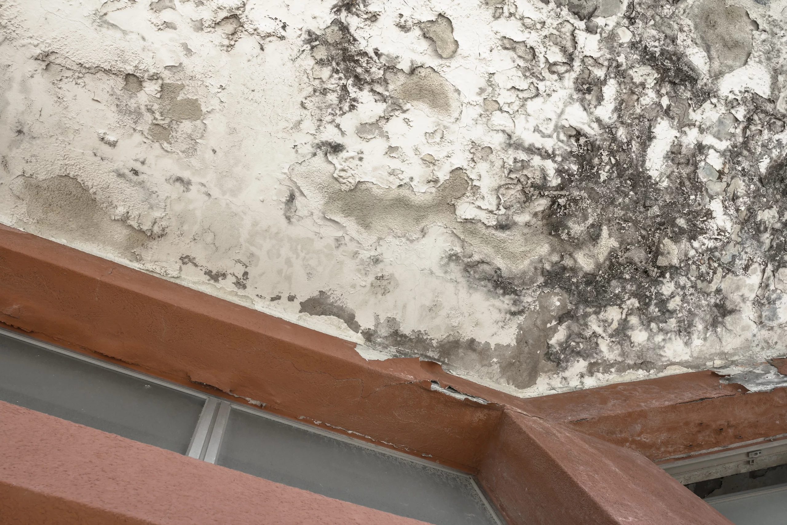 Mur humide maison ancienne causes et solutions — free download